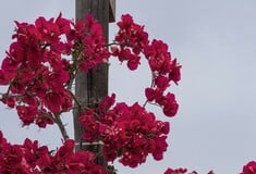 ΚΑΙΡΟΣ ΜΕΓΑΛΗ ΕΒΔΟΜΑΔΑ ΠΑΣΧΑ