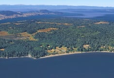 ΝΕΚΡΑ ΣΚΥΛΙΑ ΣΙΑΤΛ ΗΠΑ