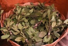 ΚΥΡΙΑΚΗ ΤΩΝ ΒΑΙΩΝ ΤΙ ΓΙΟΡΤΑΖΟΥΜΕ