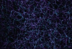 ΕΓΚΕΦΑΛΟΣ ΨΥΧΕΔΕΛΙΚΕΣ ΟΥΣΙΕΣ ΝΕΥΡΩΝΕΣ