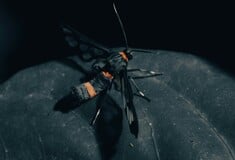 ΕΠΩΔΥΝΟ ΤΣΙΜΠΗΜΑ ΚΟΣΜΟΣ