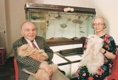 Ντόροθι και Χερμπ Βόγκελ: πώς ένα ζευγάρι δημοσίων υπαλλήλων έφτιαξε μία από τις σημαντικότερες συλλογές σύγχρονης τέχνης