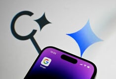 GOOGLE AI OVERVIEW REDDIT