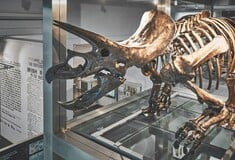 ΔΕΙΝΟΣΑΥΡΟΙ ΑΠΟΛΙΘΩΜΑΤΑ ΔΗΜΟΠΡΑΣΙΑ