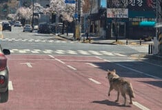 ΝΟΤΙΑ ΚΟΡΕΑ ΠΟΛΗ ΣΤΡΑΤΟΣ