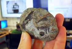 ΑΠΟΛΙΘΩΜΑ ΕΜΒΡΥΟΥ ΝΟΤΙΑ ΑΦΡΙΚΗ ΘΗΛΑΣΤΙΚΑ