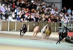 ΚΥΝΟΔΡΟΜΙΕΣ ΣΚΩΤΙΑ ΟΥΑΛΙΑ