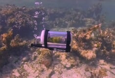 ΠΑΠΑΓΑΛΟΣ ΚΑΤΑΔΥΣΗ