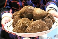 Ντερμπιγιές και μπουστιά, τα αποσυνάγωγα του πασχαλινού τραπεζιού