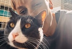 Το κατοικίδιό μου, το παιδί μου