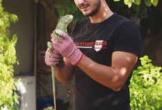 Η ζωή μου με τον Γιάνγκο