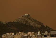 ΓΙΑΝΝΗΣ ΚΑΛΛΙΑΝΟΣ ΚΑΙΡΟΣ ΑΦΡΙΚΑΝΙΚΗ ΣΚΟΝΗ