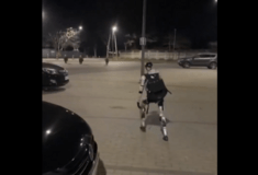 Βαρσοβία: Viral ρομπότ που κυνηγά αγριογούρουνα στους δρόμους