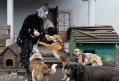 ΗΠΑ ΚΑΤΑΦΥΓΙΑ ΖΩΑ ΕΥΘΑΝΑΣΙΑ