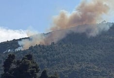 ΦΩΤΙΑ ΤΩΡΑ ΑΧΑΙΑ ΠΥΡΟΣΒΕΣΤΙΚΗ