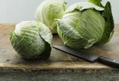 Γιατί τρεντάρει το λάχανο φέτος;