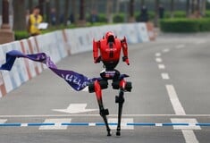 ΗΜΙΜΑΡΑΘΩΝΙΟΣ ΡΟΜΠΟΤ ΠΕΚΙΝΟ