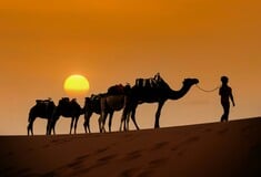 ΤΟΥΡΙΣΜΟΣ 2026 ΑΙΓΥΠΤΟΣ ΑΙΘΙΟΠΙΑ ΣΕΥΧΕΛΛΕΣ