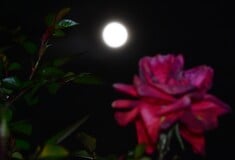 ΠΑΝΣΕΛΗΝΟΣ ΜΑΪΟΥ 