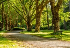 ΗΠΑ ΠΥΡΟΒΟΛΙΣΜΟΙ ΠΑΡΚΟ ΝΕΚΡΟΙ