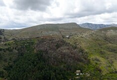 2.000 νέα δέντρα από το φυσικό μεταλλικό νερό ΒΙΚΟΣ σε Χίο και Βόρεια Εύβοια