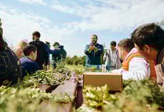 Πέντε χρόνια δράσης της Motor Oil στην Αμυγδαλέζα: Μια πρωτοβουλία για τα ελληνικά δάση