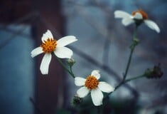 ΚΑΙΡΟΣ ΒΡΟΧΕΣ ΠΕΜΠΤΗ