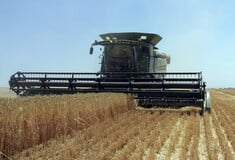 ΤΡΟΦΙΜΑ ΚΑΥΣΩΝΑΣ ΚΛΙΜΑΤΙΚΗ ΚΡΙΣΗ ΚΛΙΜΑΤΙΚΗ ΑΛΛΑΓΗ