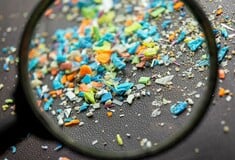 ΝΕΡΟ ΜΙΚΡΟΠΛΑΣΤΙΚΑ ΔΕΝΤΡΟ