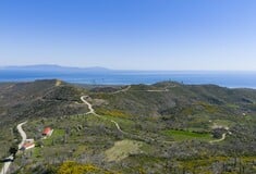 2.000 δέντρα για τη Γη: ΒΙΚΟΣ και we4all δίνουν ξανά ζωή σε Χίο και Βόρεια Εύβοια