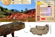 ΔΕΙΝΟΣΑΥΡΟΙ ΒΡΑΖΙΛΙΑ ΣΚΩΤΙΑ