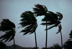 ΦΙΤΖΙ ΚΥΚΛΩΝΕΣ