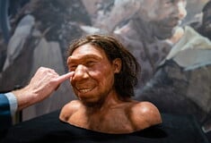 ΝΕΑΝΤΕΡΤΑΛ ΚΟΛΛΩΔΗΣ ΟΥΣΙΑ ΑΝΤΙΒΑΚΤΗΡΙΑΚΟ ΦΑΡΜΑΚΟ