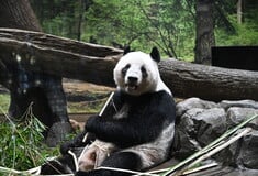 ΠΑΝΤΑ ΚΙΝΑ ΗΠΑ ΖΩΟΛΟΓΙΚΟΣ ΚΗΠΟΣ