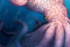 ΧΤΑΠΟΔΙ ΜΕΛΕΤΗ ΘΗΡΕΥΤΗΣ