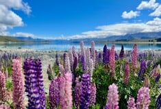 ΛΟΥΛΟΥΔΙΑ ΤΑΞΙΔΙΑ 