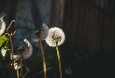 ΚΑΙΡΟΣ ΠΡΩΤΟΜΑΓΙΑ