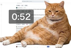 ΓΑΤΑ CHROME BROSWER EXTENSIONφ