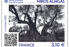 ΜΕΣΟΛΟΓΓΙ ΑΙΩΝΟΒΙΕΣ ΕΛΙΕΣ ΓΡΑΜΜΑΤΟΣΗΜΟ ΝΙΚΟΣ ΑΛΙΑΓΑΣ