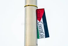 ΔΟΥΒΛΙΝΟ ΠΑΛΑΙΣΤΙΝΗ ΣΗΜΑΙΑ 