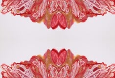 ΚΟΡΙΤΣΙΑ ΑΓΟΡΙΑ ΓΕΝΝΗΣΕΙΣ