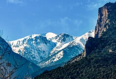 ΧΙΟΝΙ ΒΟΥΝΟ