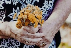 ΓΗΡΟΚΟΜΕΙΟ ΑΜΠΕΛΟΚΗΠΟΙ ΕΦΟΔΟΣ ΠΑΡΑΝΟΜΟ