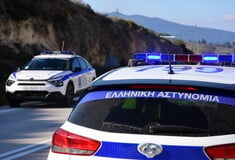 ΝΤΑΛΙΚΑ ΦΟΡΤΗΓΟ SKUNK ΚΑΝΝΑΒΗ