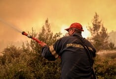 ΠΡΟΣΤΙΜΑ ΦΩΤΙΑ ΑΝΤΙΠΥΡΙΚΗ ΠΕΡΙΟΔΟ