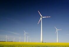 ΗΠΑ ΝΤΟΝΑΛΝΤ ΤΡΑΜΠ ΑΙΟΛΙΚΗ ΕΝΕΡΓΕΙΑ