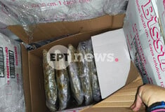 ΗΓΟΥΜΕΝΙΤΣΑ ΝΑΡΚΩΤΙΚΑ ΦΟΡΤΗΓΟ