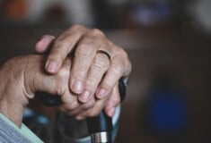 ΑΜΠΕΛΟΚΗΠΟΙ ΓΗΡΟΚΟΜΕΙΟ ΦΥΛΑΚΗ
