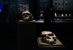 HOMO ERECTUS ΝΤΕΝΙΣΟΒΑΝ ΑΝΑΠΑΡΑΓΩΓΗ ΠΡΟΪΣΤΟΡΙΑ