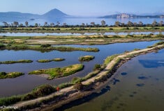 Messinia Challenge 2026: Οι πρώτοι βιώσιμοι αγώνες τρεξίματος στην Ελλάδα